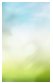 back_1